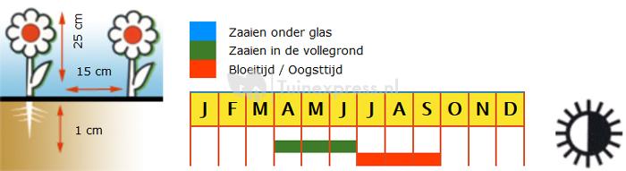 Rode lage enkele Oost-Indische kers bloemzaden &ndash; Oost-Indische kers Empress of India