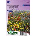 Special mix bloemzaden &ndash; eenjarige bloemenweide