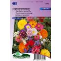 Special mix bloemzaden &ndash; Snijbloemenmengsel