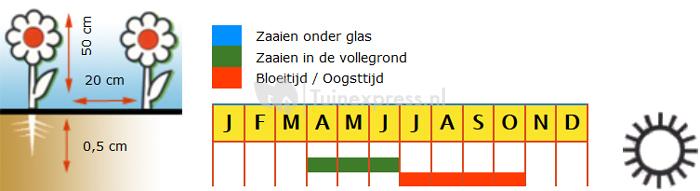 Special mix bloemzaden &ndash; Vlinderbloemenmengsel