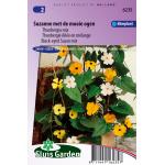 Thunbergia mix bloemzaden &ndash; Suzanne met de mooie ogen