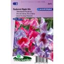 Welriekende pronkerwt bloemzaden &ndash; Reukerwt Ripple Mix