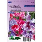 Welriekende pronkerwt bloemzaden &ndash; Reukerwt Ripple Mix