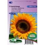 Zonnebloem enkelbloemig bloemzaden - F1 Sunrich Orange