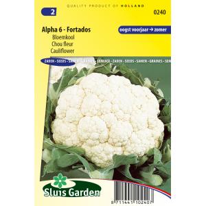 Bloemkool zaden - Alpha 6 - Fortados Bloemkool zaden - Alpha 6 - Fortados