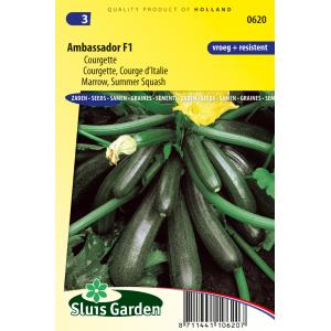 Courgette zaden - Ambassador F1 Courgette zaden - Ambassador F1