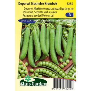 Doperwt zaden - Mechelse Krombek Doperwt zaden - Mechelse Krombek