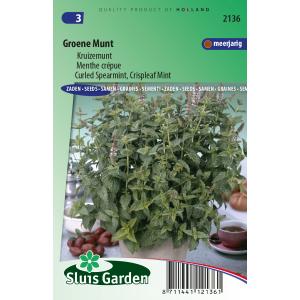 Groene Munt zaden - Kruizemunt Groene Munt zaden - Kruizemunt