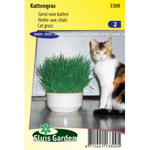 Kattengras zaden Kattengras zaden