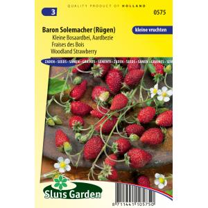 Bosaardbei zaden - Baron Solemacher (Rügen) Bosaardbei zaden - Baron Solemacher (Rügen)