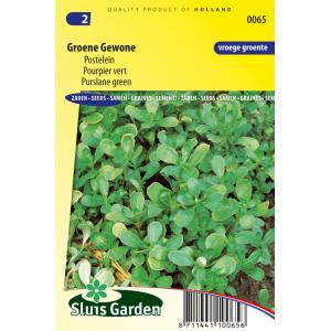 Postelein zaden - Groene Gewone Postelein zaden - Groene Gewone