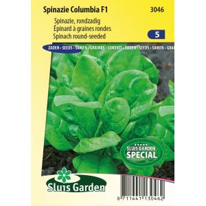 Spinazie zaden - Columbia F1 Spinazie zaden - Columbia F1