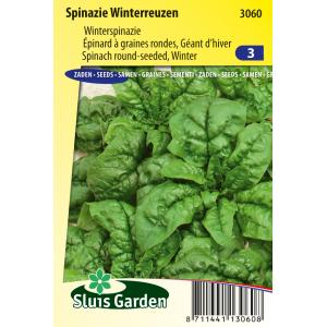 Spinazie (winterspinazie) zaden - Winterreuzen Spinazie (winterspinazie) zaden - Winterreuzen