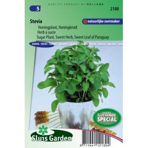 Stevia zaden - Honingkruid Stevia zaden - Honingkruid