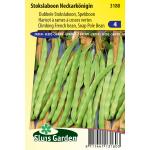 Stokslaboon (spekboon) zaden - Neckark&ouml;nigin