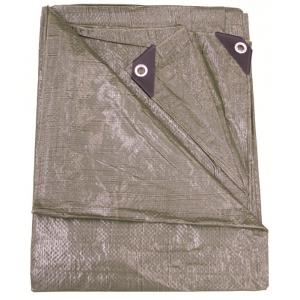 Afdekzeil 6 x 10 meter groen 90 gr/m2 Afdekzeil 6 x 10 meter groen 90 gr/m2