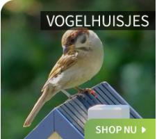 Vogelhuisjes