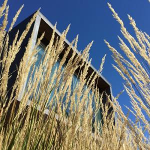 Wat waren de tuintrends van 2023?