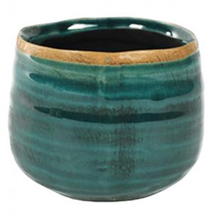 Iris turqoise bloempot binnen 8x7 cm Iris turqoise bloempot binnen 8x7 cm