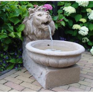 Basel waterornament Basel waterornament